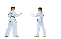 Image result for taekwondo animated gif